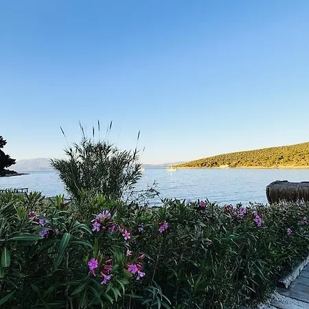 فيلة Seaside House